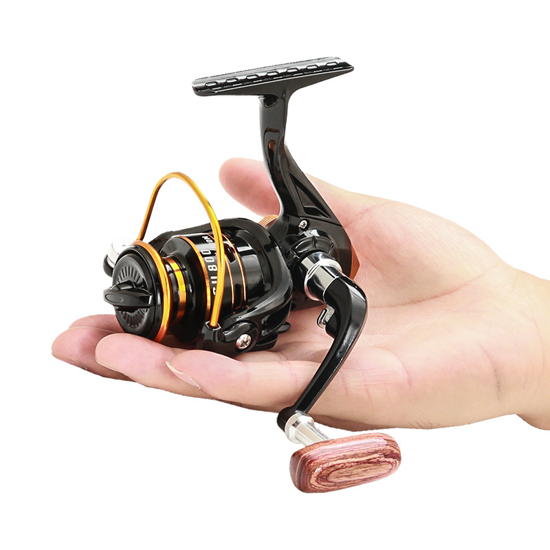 800 Series Small Spinning Fish - Daiwa Reel Bg 评论和价格